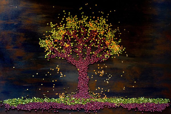 Comment préparer des plats végétaliens riches en fer ?